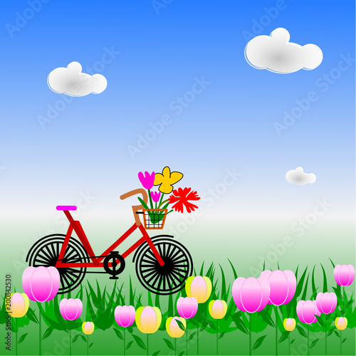 bicycle in colorful flower garden   illustration vector.  