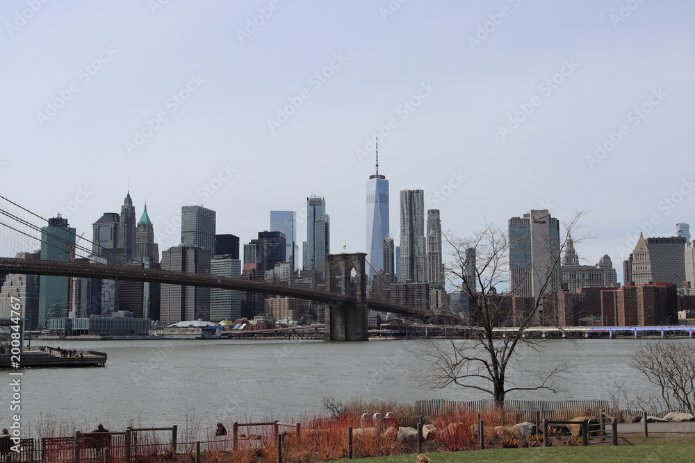 Obraz premium New York City architecture