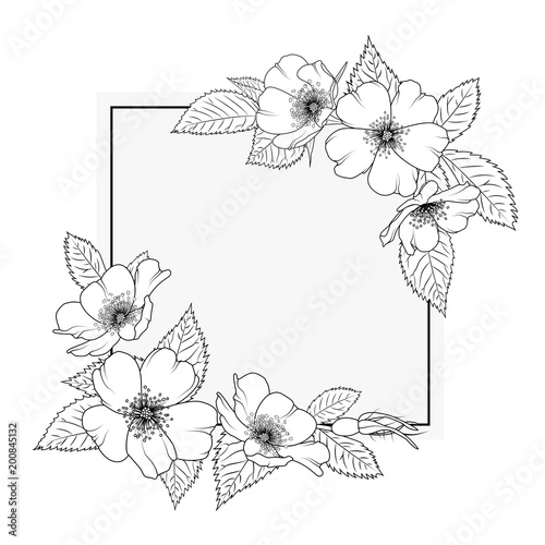 Wild rose rosa canina floral border frame template