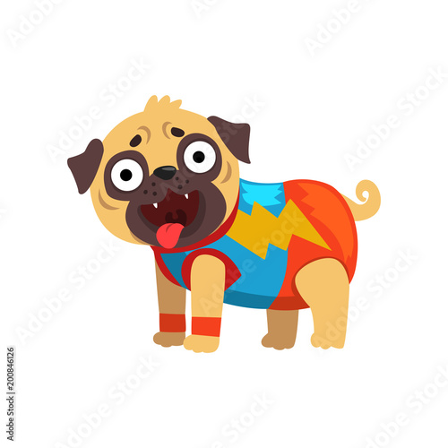Funny pug dog character in a superhero costume vector Illustration on a white background