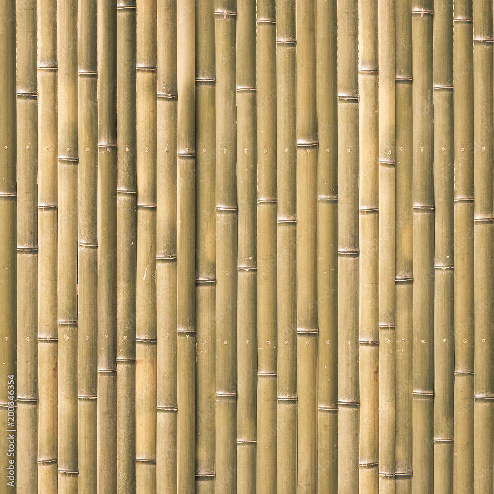 Fototapeta premium Wood bamboo fence pattern and seamless background