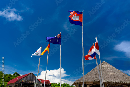 Flags hanged on the wooden beanpoles with many nationalities.
