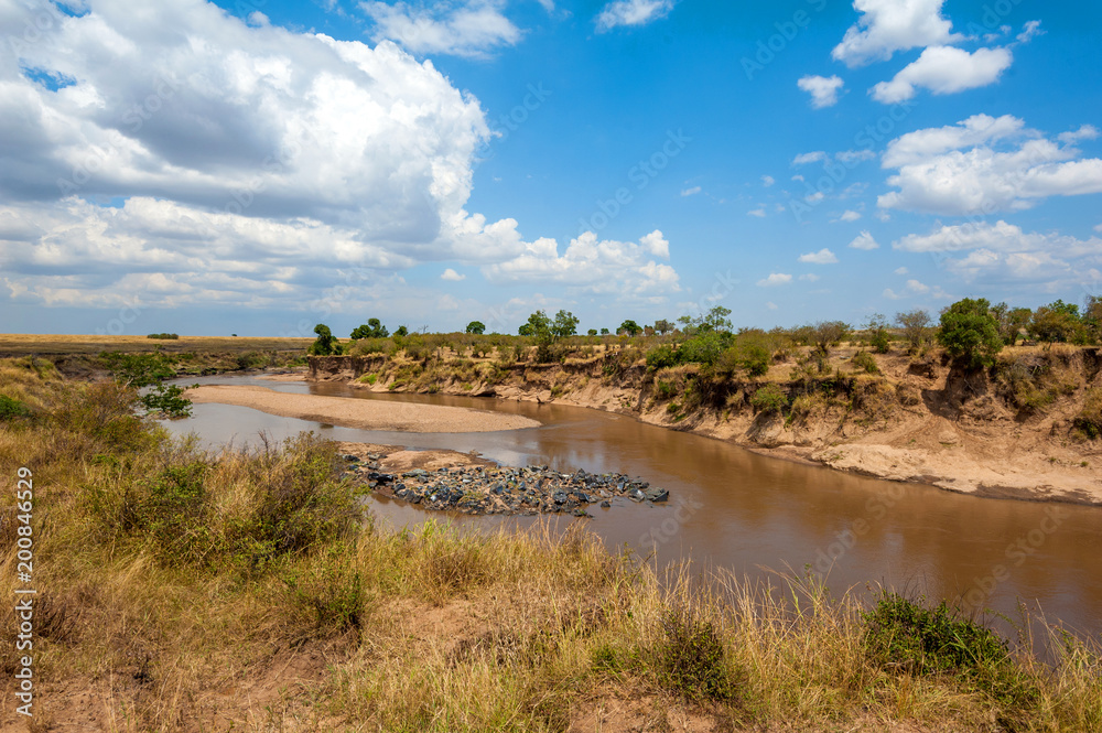 Savannah landscape with river in the National park of Kenya Savannah landscape with river in the National park of Kenya