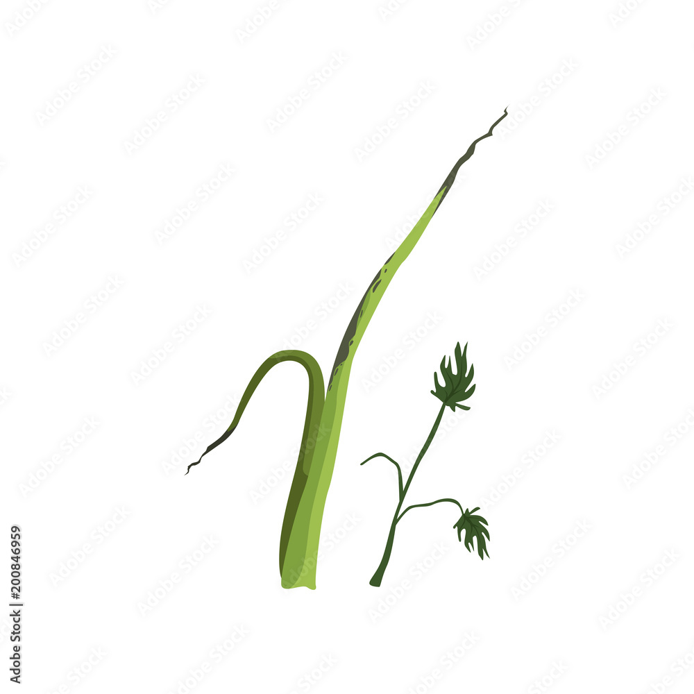 Rotten greens organic garbage, utilize waste concept vector Illustration on a white background Rotten greens organic garbage, utilize waste concept vector Illustration on a white background
