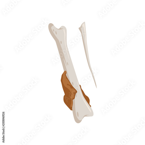 Eaten chicken drumstick bone, recycling garbage concept, utilize waste vector Illustration on a white background