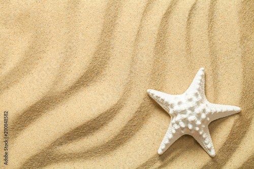 Summer, Sand Background with Starfish