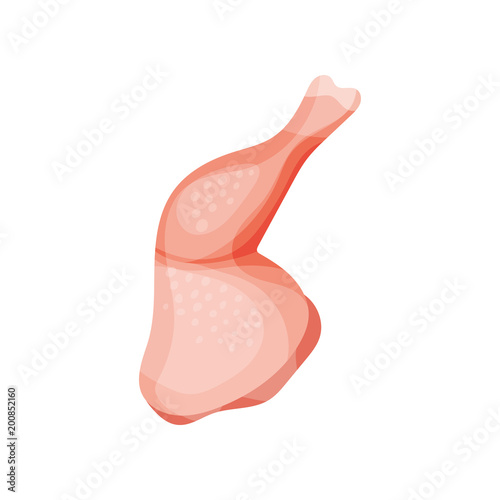 Raw chicken leg, fresh meat concept vector Illustration on a white background