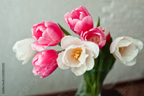Fototapeta Naklejka Na Ścianę i Meble -  a bouquet of tulips in a vase