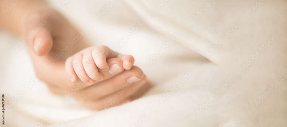 Female hand holding her newborn baby's hand. Mom with her child. Maternity, family, birth concept. Copy space for your text. Banner Female hand holding her newborn baby's hand. Mom with her child. Maternity, family, birth concept. Copy space for your text. Banner