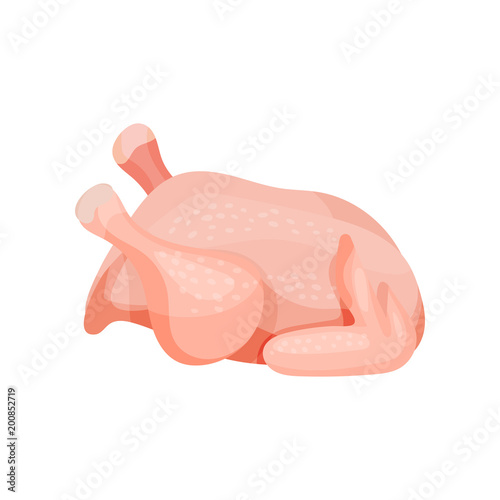 Whole fresh raw chicken vector Illustration on a white background