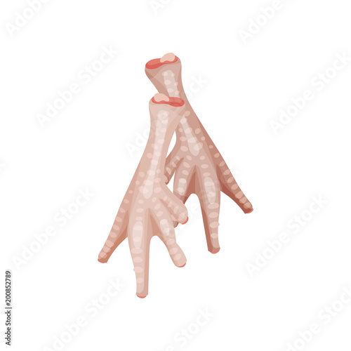 Raw chicken feet, parts of chicken carcass vector Illustration on a white background