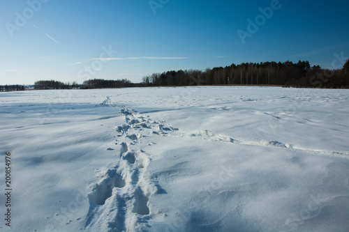 Snow in the field, footprints and forest