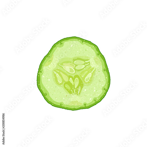 Vector illustration of cucumber slice