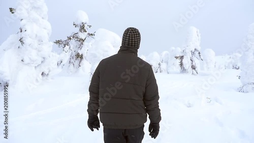 Man hiking in snowy forest, walking view bypassing snow covered pine tree, in a winter wonderland on a fjeld mountain fell, in Riisitunturi national park, Lapland, Finland
