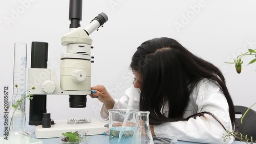 Young botanist student preparing fresh plant samples for further analysis