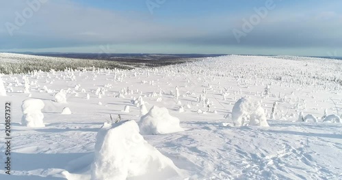 Cinema 4k aerial view backwards revealing a male taking photos on the top of a fjeld tunturi, full of snow covered trees, in Riisitunturi national park, Lapland, Finland