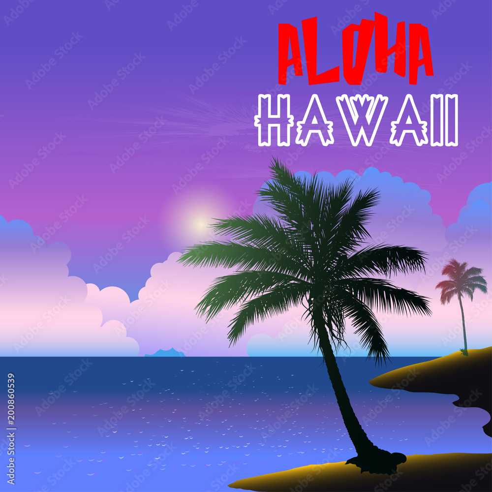 Obraz premium Aloha Hawaii Island. Vector poster with a picture of a tropical island.
