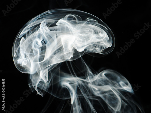 fumo forma cervello photo