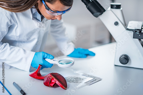 Forensic science expert examining objects from a crime scene photo