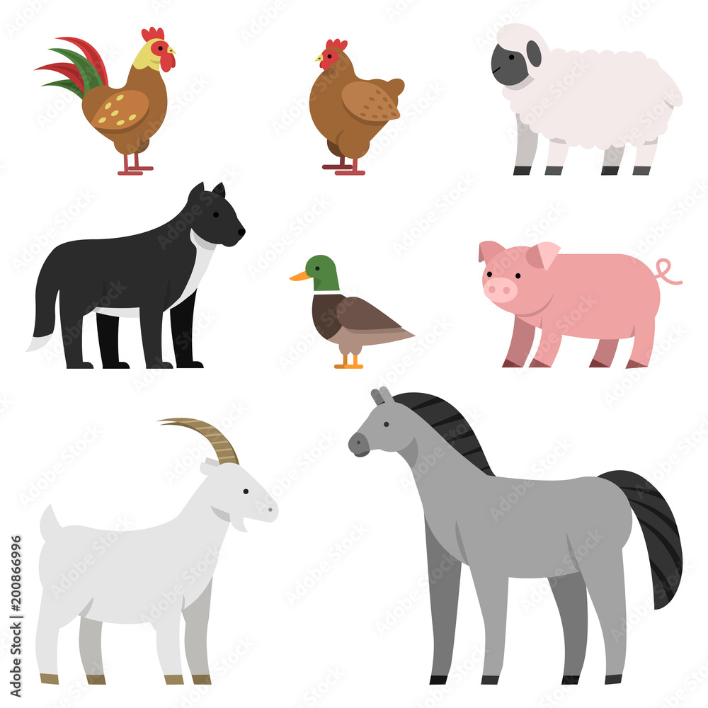 Flat illustrations of farm animals