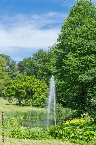 Beautiful park with pond and fountain