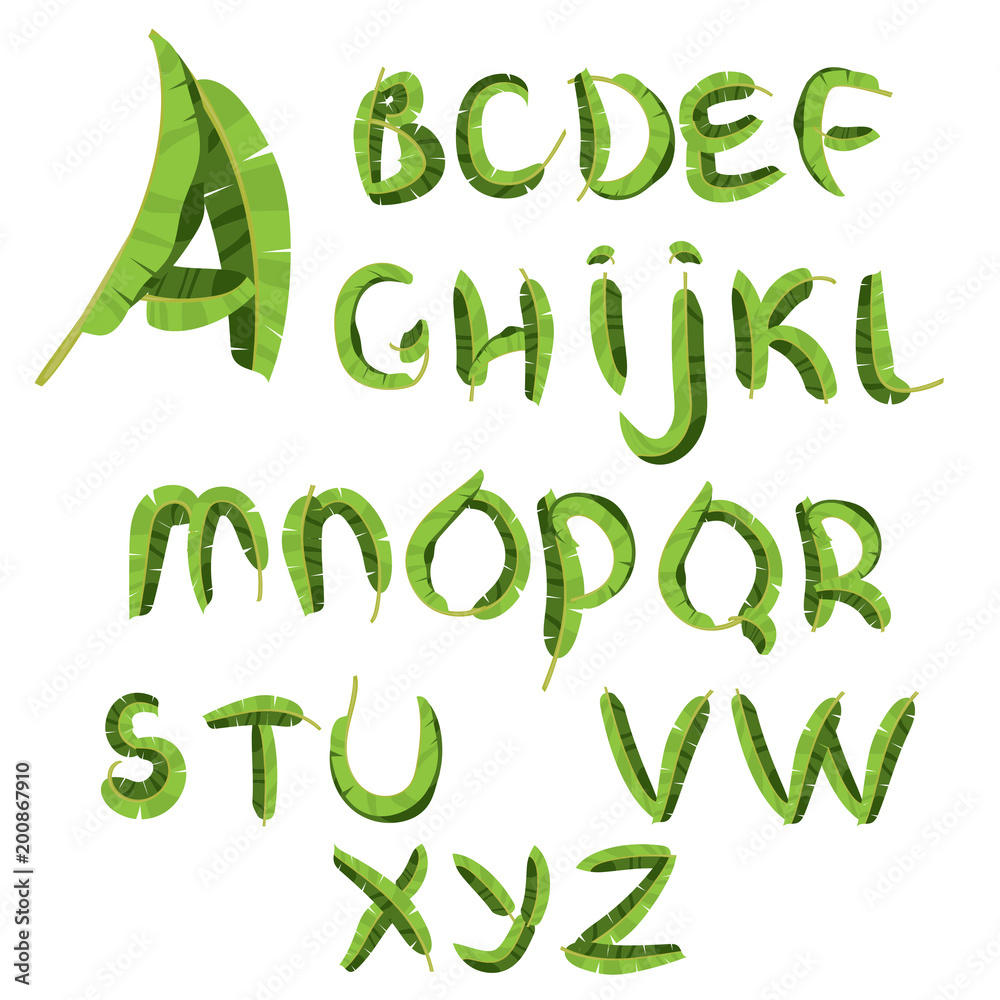 Tropical alphabet made of banana palm leaves. Hand drawn green paradice abc. Natural summer letters. illustrated design Tropical alphabet made of banana palm leaves. Hand drawn green paradice abc. Natural summer letters. illustrated design