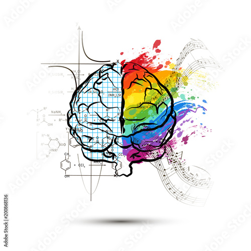 Technical and art hemispheres on human brain in front view, left and right brain functions concept on white