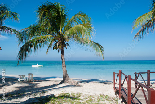Palm on the beach of Cayo Jutias in Cuba. Boat and blue sea have a rest on the golden sand. Beach in the Gulf of Mexico.