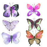 set of colorful watercolor illustrations of butterflies