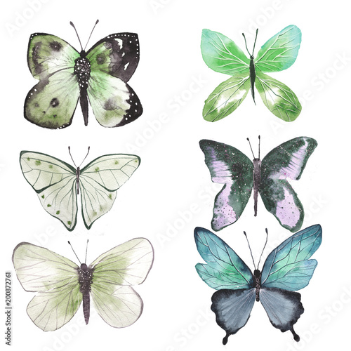 set of colorful watercolor illustrations of butterflies