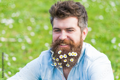 Hipster on smiling face sits on grass. Guy looks nicely with daisy or chamomile flowers in beard. Man with long beard and mustache, defocused green meadow background. Natural hair care concept.