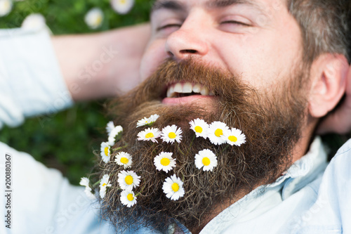 Hipster on cheerful face lays on grass, close up. Springtime concept. Man with long beard and mustache, defocused green meadow background. Guy looks nicely with daisy or chamomile flowers in beard.