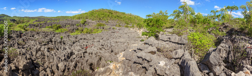 The Tsingy of Ankarana