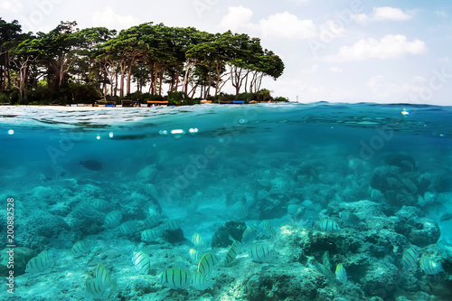 Photography Above and below sea surface near tropical island beach