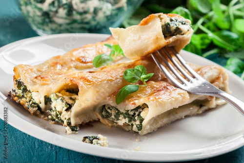 Portion of cannelloni stuffed with spinach photo