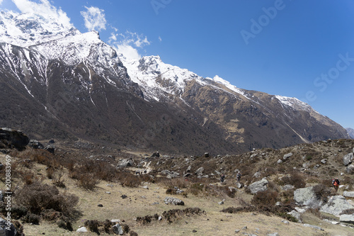 Langtand valley trekking mountain in Nepal