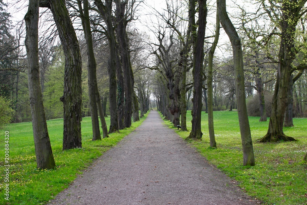 Belvedere Park, Weimar.