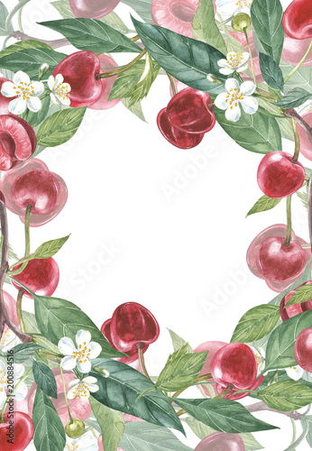 Cherry frame botanical illustration. Card design with Cherry flowers and leaf. Watercolor botanical illustration isolated on white background.