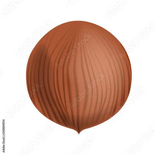 Vector Full and Unpeeled Realistic Hazelnut. Close up view isolated White Background.