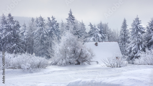 White landscape © vlysytsya