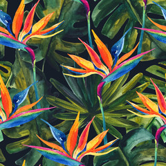 Fototapete Tropische Paradiesblumen-Muster Aquarell Paradiesvogelblume mit Monstera Palmen  © Tanya Syrytsyna