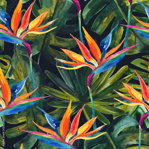 Watercolor tropical seamless pattern with bird-of-paradise flower, monstera, ...