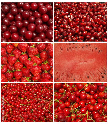 Red fruits photo