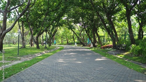Wallpaper Mural Walkway among tree in garden. Torontodigital.ca