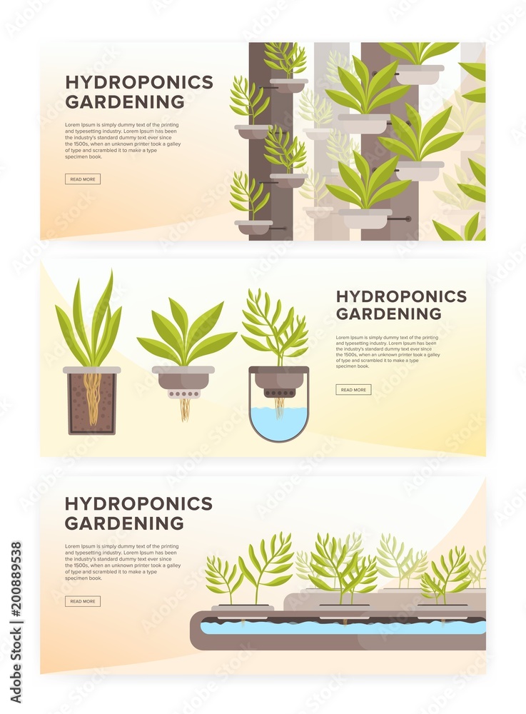 Set of horizontal web banners with plants growing in pots with mineral solution and place for text. Hydroponic gardening systems advertisement. Colored vector illustration in modern flat style.
