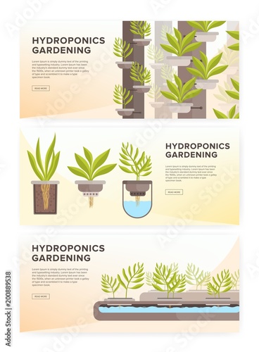 Set of horizontal web banners with plants growing in pots with mineral soluti...