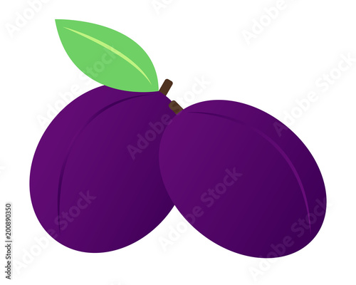 Plums vector illustration 