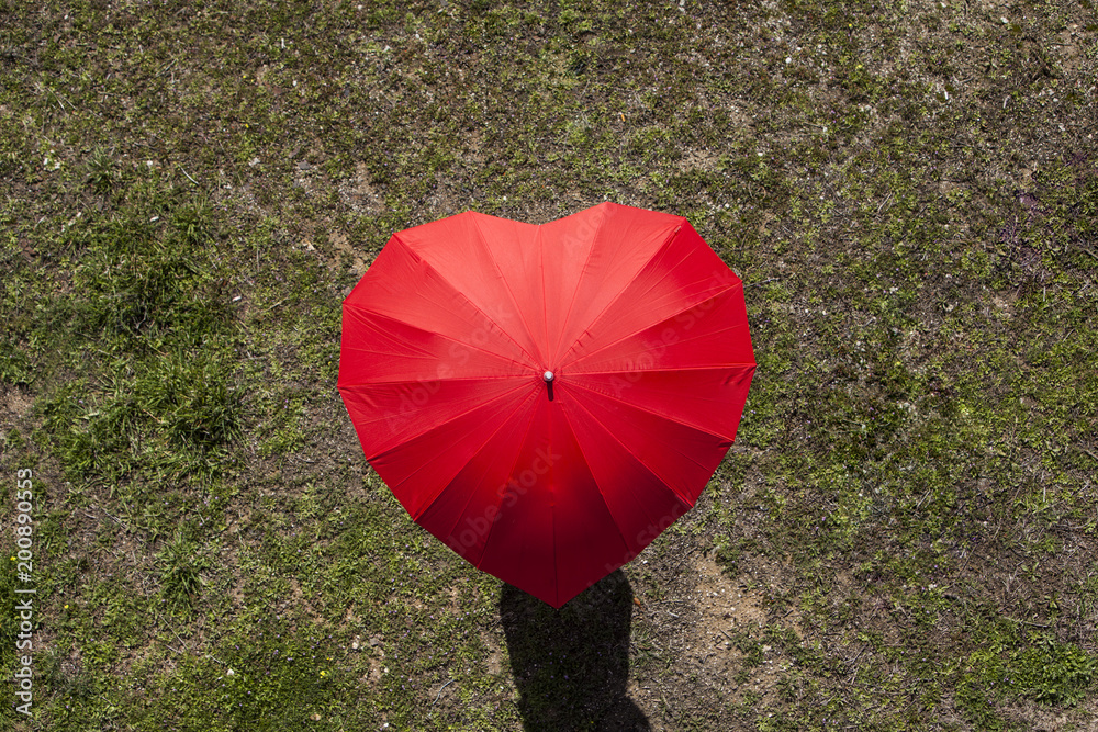 Overhead view of heart shaped umbrella against the grassy landscape Stock  Photo | Adobe Stock