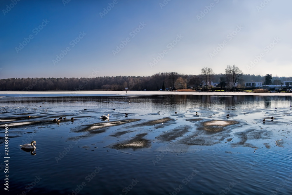 Naklejka premium Flakensee im Winter