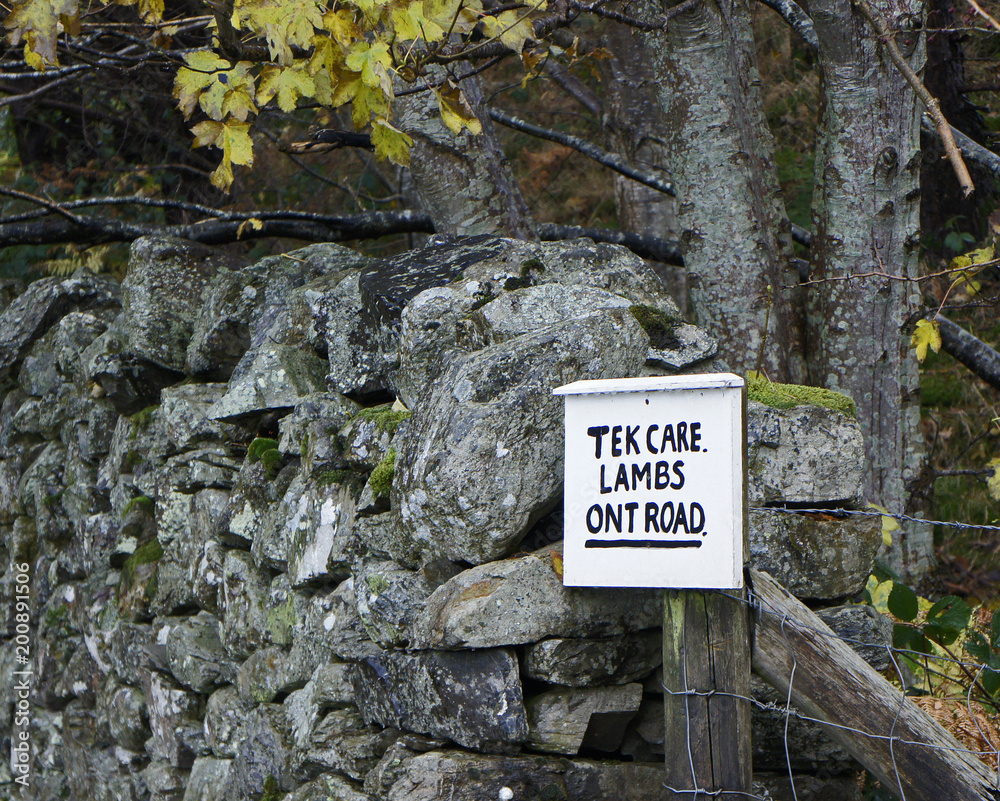 Tek Care Lambs Ont Road Sign Lake District, England, UK Tek Care Lambs Ont Road Sign Lake District, England, UK